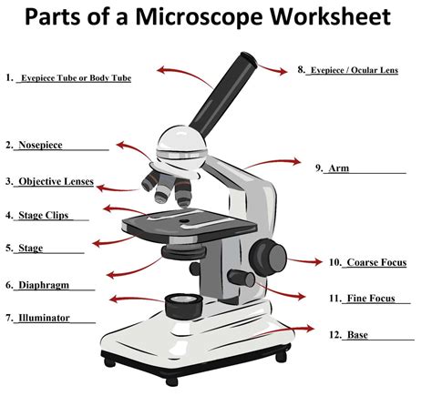 Using the Microscope: Basic Tutorial: Part 7. Oil  .
